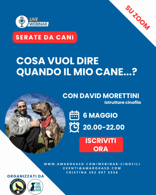Amarok_serate da cani il webinar cinofilo David Morettini