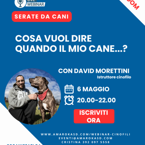 Amarok_serate da cani il webinar cinofilo David Morettini