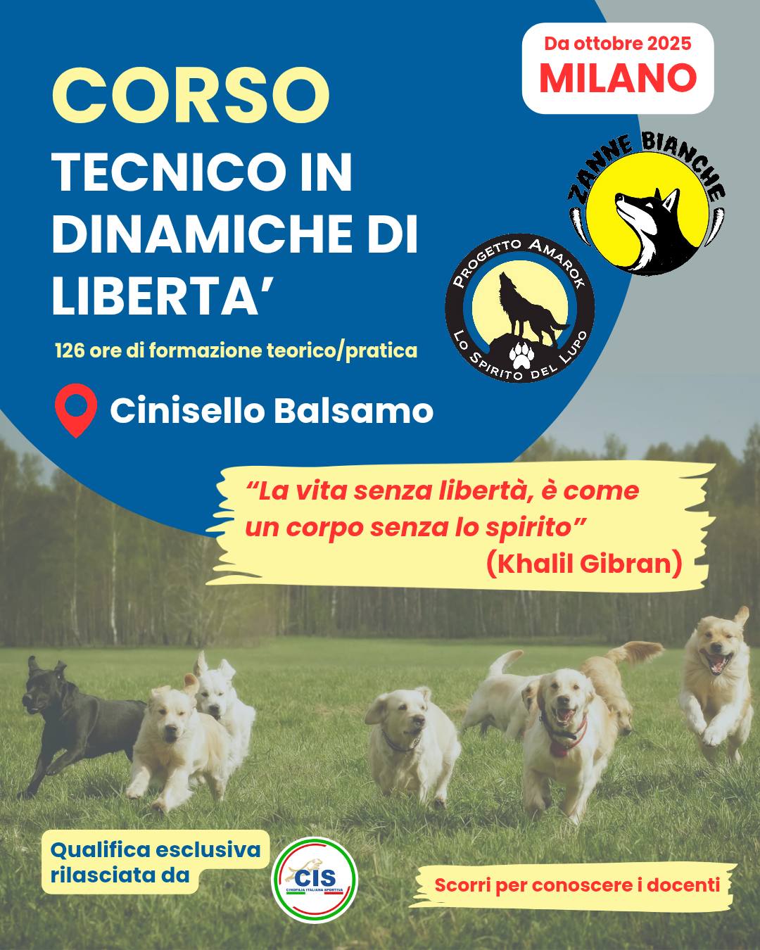 Corso Tecnico in dinamiche di libertà 2025 – Cinisello Balsamo (MI)