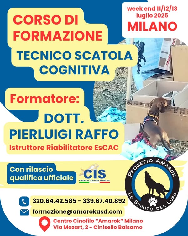 Corso tecnici Scatola Cognitiva 2025 – Cinisello Balsamo (MI)