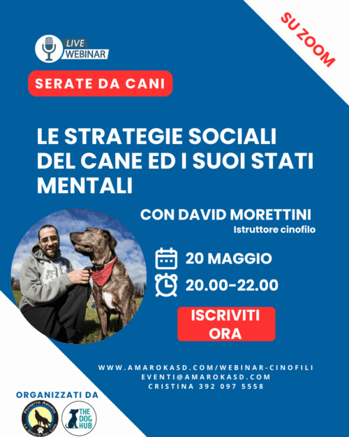 serate da cani - il webinar cinofilo david morettini