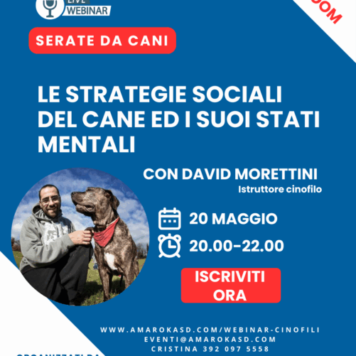 serate da cani - il webinar cinofilo david morettini