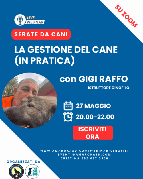 La gestione del cane (in pratica) SERATE DA CANI - IL WEBINAR CINOFILO CON GIGI RAFFO