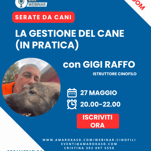 La gestione del cane (in pratica) SERATE DA CANI - IL WEBINAR CINOFILO CON GIGI RAFFO
