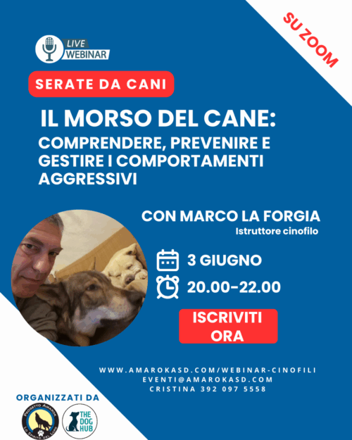 IL MORSO DEL CANE SERATE DA CANI IL WEBINAR CINOFILO AMAROK