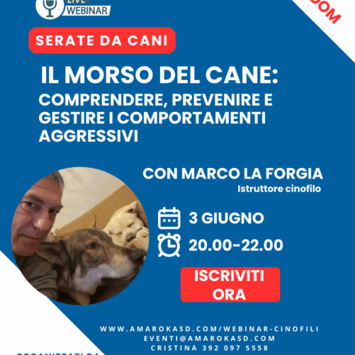IL MORSO DEL CANE SERATE DA CANI IL WEBINAR CINOFILO AMAROK