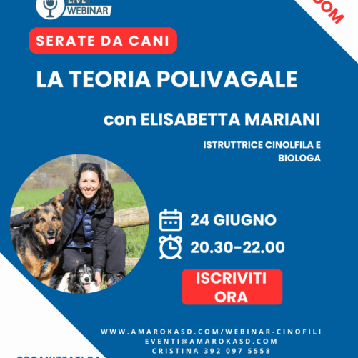 teoria polivagale con Elisabetta Mariani - DOPOCENA CINOFILI